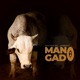 Mano Gado 2 Single
