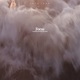 Focus Single