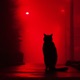 DARK NIGHT Single