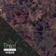Thief Remixes Single