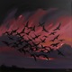 Where Did The Birds Go