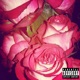 Rote Rosen Selfprod Single
