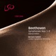 Beethoven Symphonies Nos 1 9