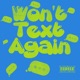 Won t Text Again Single