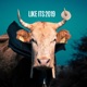 Like It s 2019 Single