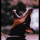Bodybag Testimony Single
