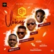 Voices feat Ajesings Diamond Jimma Bella Shmurda Single