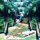 Lifestyle Single