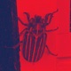 Disarray feat OkayyWill Single