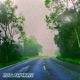 Misty Morning Roads Single