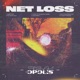 Net Loss