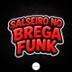 SALSEIRO NO BREGA FUNK Single