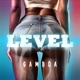 Level Single