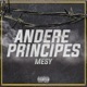 Andere Principes Single