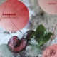 Cherries Single
