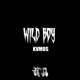 Wild Boy Single