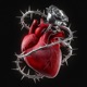 Amore Odio Single
