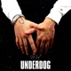 Underdog Single