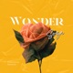 Wonder Single