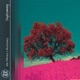Daydreaming Single