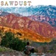 Sawdust Single