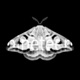 Emetic XIX EP