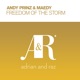 Freedom of the Storm Single