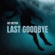 Last Goodbye Single