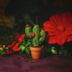 Christmas Cactus Single