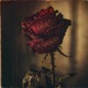 DIAS PASSANDO Single
