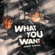 WHAT YOU WANT feat Drip tick Single