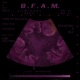 B F A M Brother from another mom EP