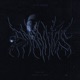 Barbatos feat DJTerapia Single