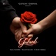 Gulaab Single