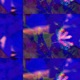 4 bits EP