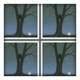 Rot Together Single
