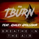 Breathe in the Air feat Ashley Apollodor Single