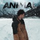 Animal Single