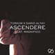 Ascendere feat Dario Altay Magnifico Single
