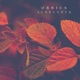 Surrender Single
