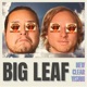 New Clear Vision Single