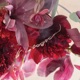Safe In My Arms YourLove Single