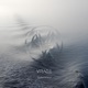 Parasense Single