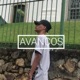 Avanços Single