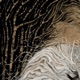 Golden Serpent Single