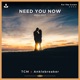 Need You Now 2024 Edit Single