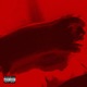 Someone New Single