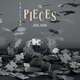 Falling to Pieces Single
