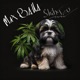 Shihtzu Single