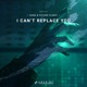 I Can t Replace You Single